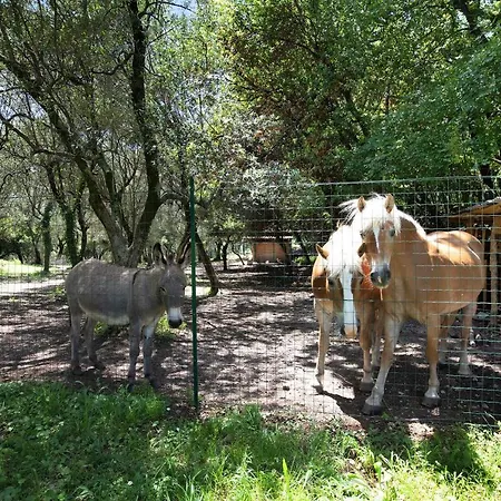 La Casetta Nel Bosco Garda Apartment *