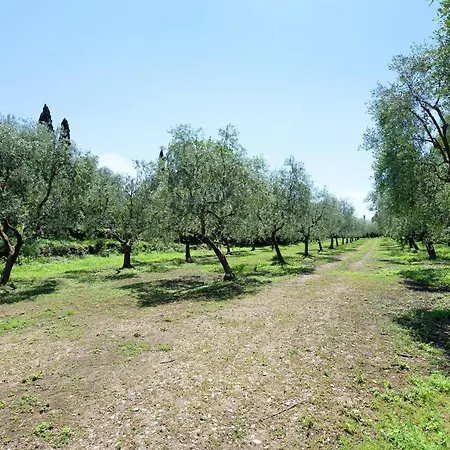 La Casetta Nel Bosco Garda Apartment *